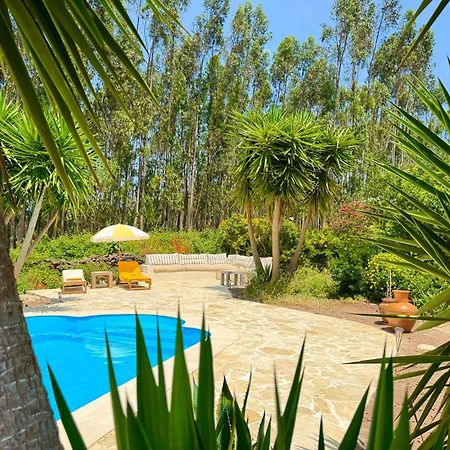 Wellbeing Guesthouse Casa E Connosco Alvaiazere Экстерьер фото