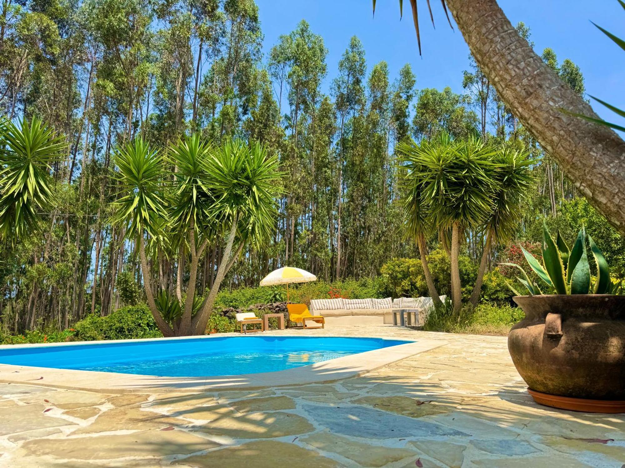 Wellbeing Guesthouse Casa E Connosco Alvaiazere Экстерьер фото