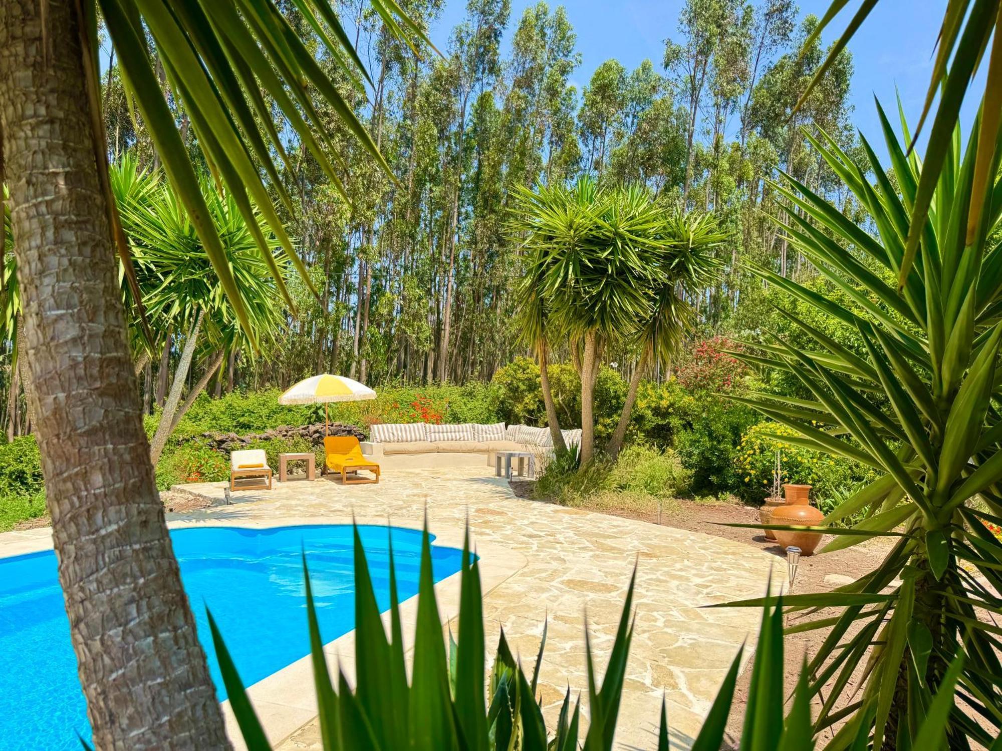 Wellbeing Guesthouse Casa E Connosco Alvaiazere Экстерьер фото